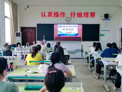 湘西自治州暑假教师全员培训 专业发展新篇章